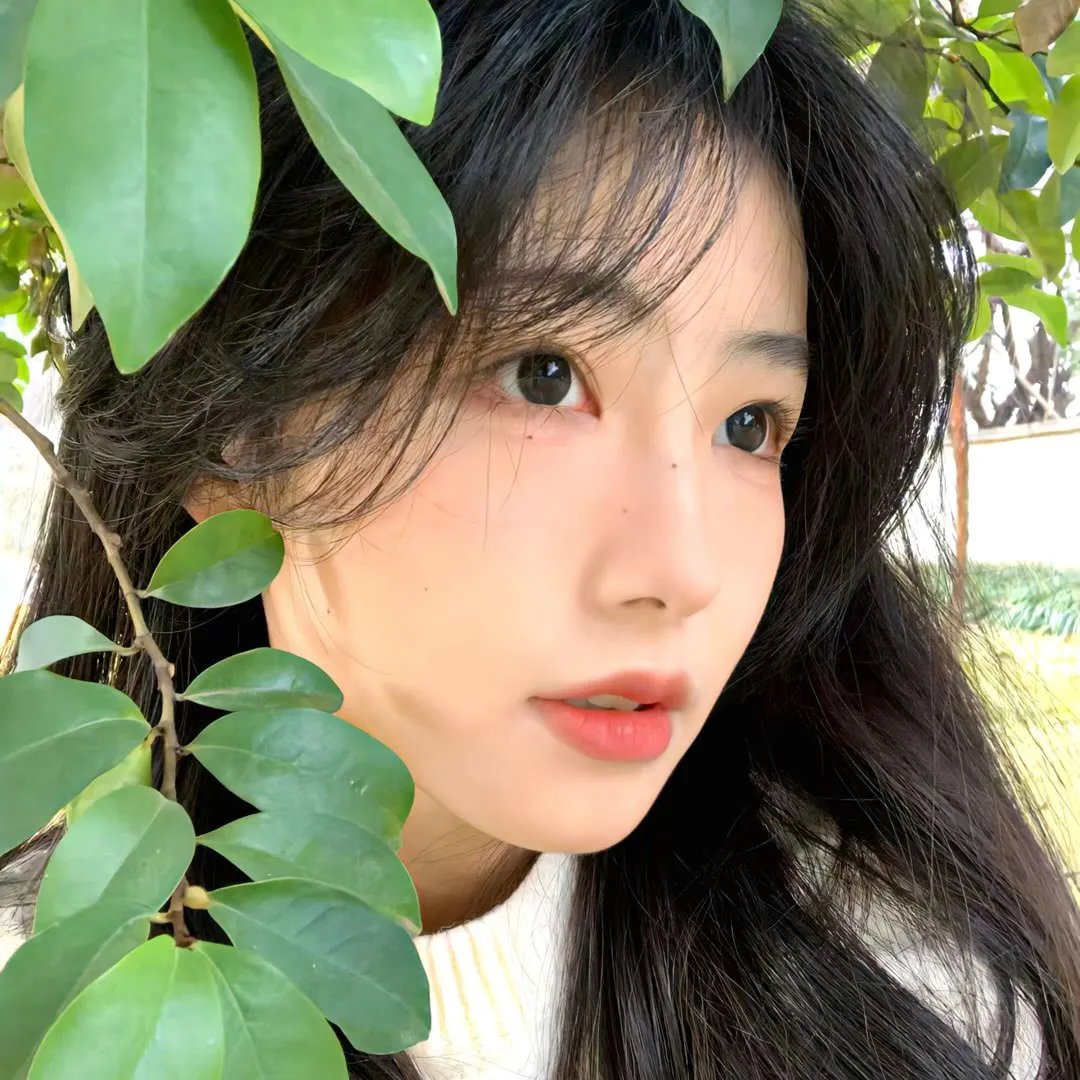 黑帮教母